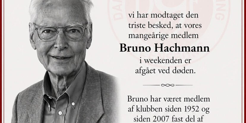 bruno_hachmann